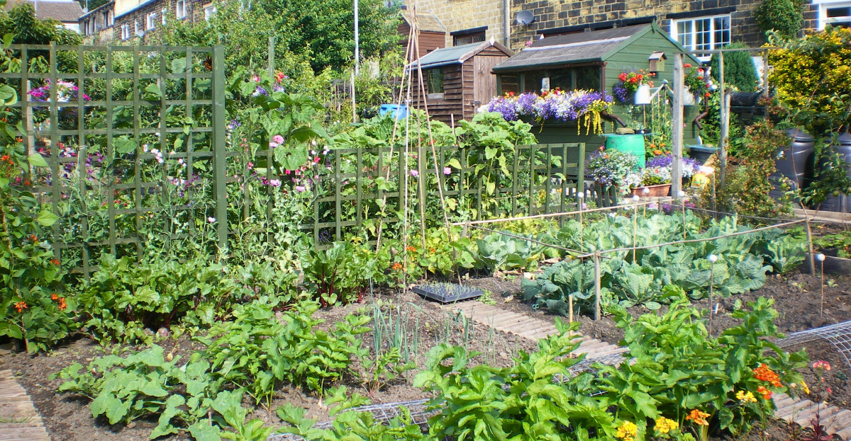 Traditional allotment